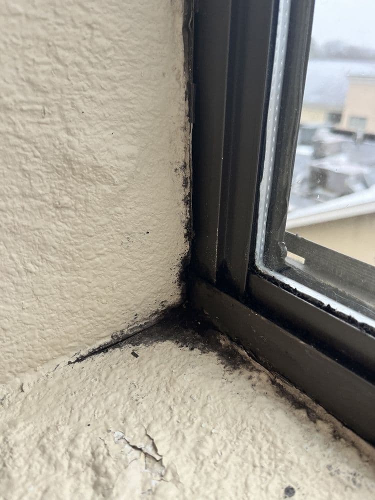 Holiday Inn Little Rock West - Chenal Pkwy - wedding in Little Rock, AR