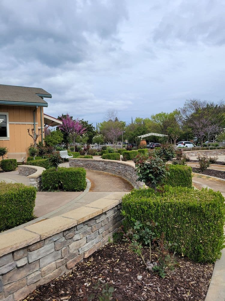 Natomas Rose Garden - wedding in Sacramento, CA