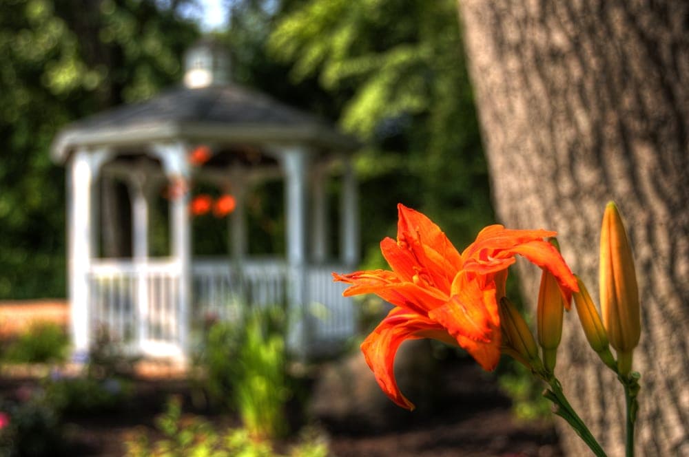 Summit View Banquet & Meeting House - wedding in Holyoke, MA