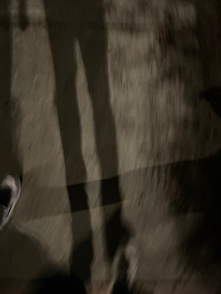 Hyde Park Cafe - wedding in Tampa, FL