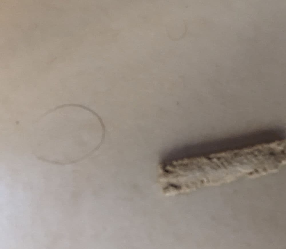 Residence Inn Lincoln South - wedding in Lincoln, NE