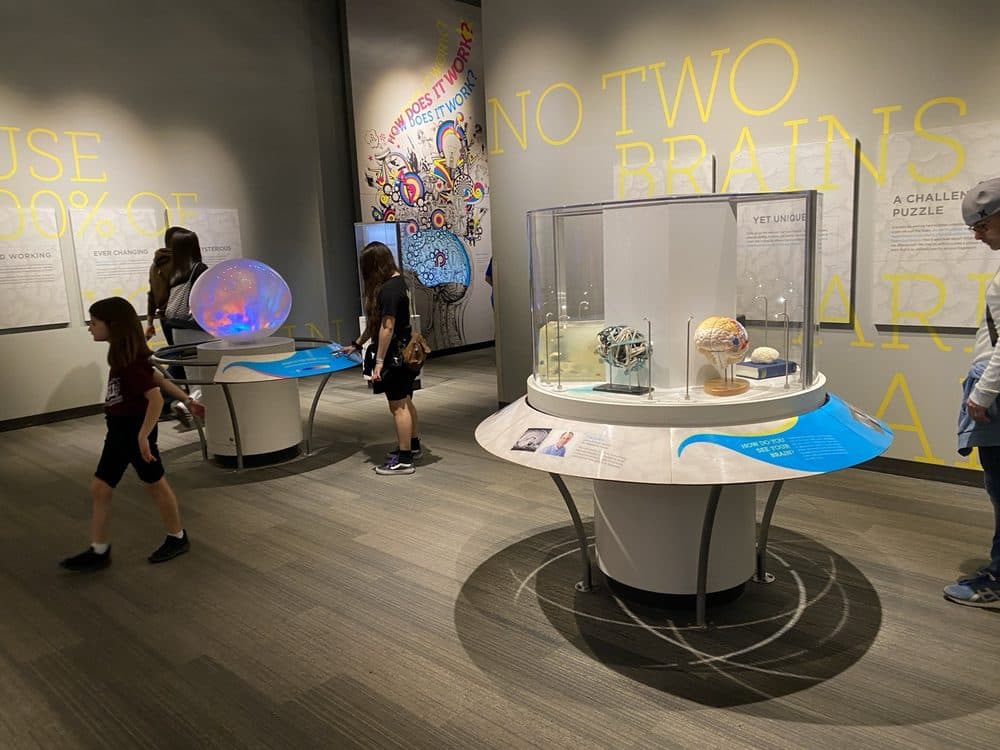 The Franklin Institute   - wedding in Philadelphia, PA