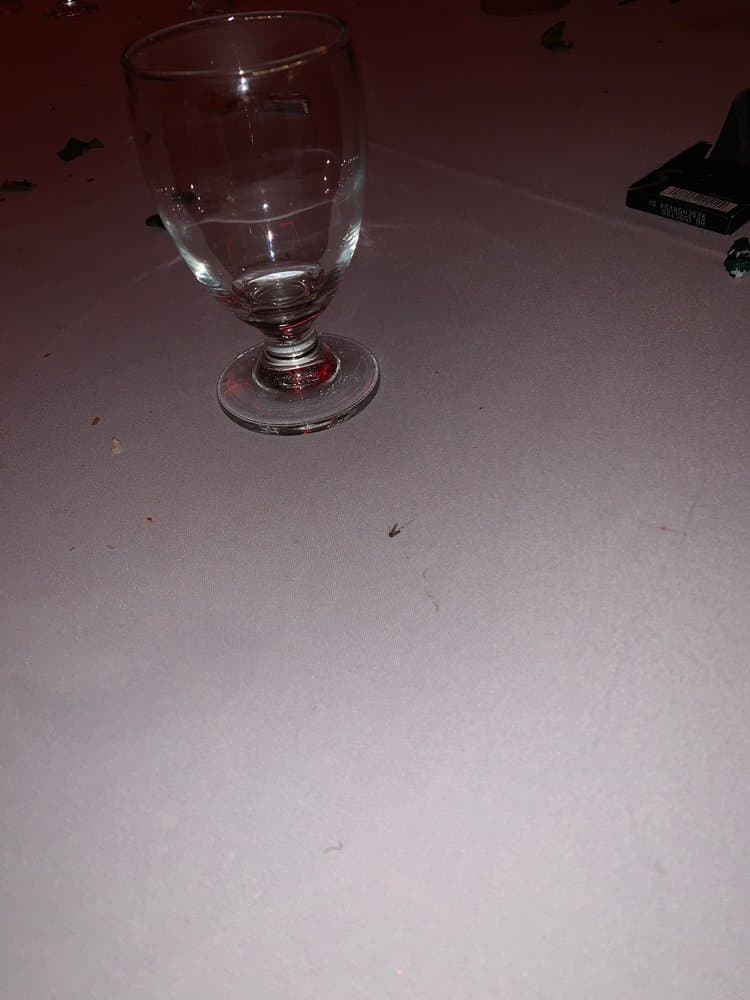 Cedar Garden Banquet - wedding in Hamilton Township, NJ