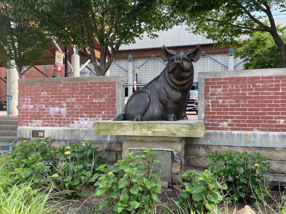 River Plaza - wedding in Little Rock, AR