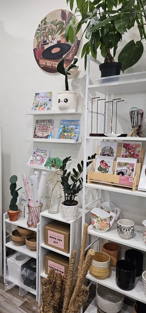 Momstera Lounge - wedding in Campbell, CA