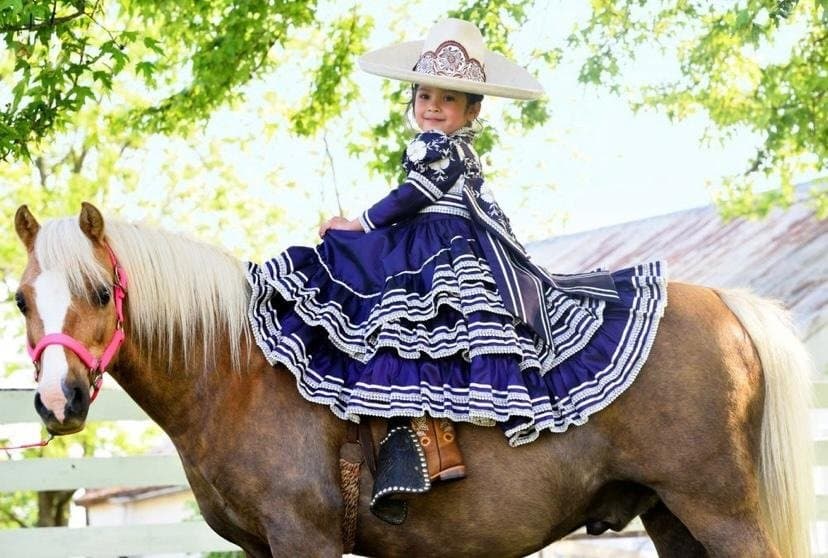 Unicorns & Lollipops Pony Rides - wedding in Lexington-Fayette, KY