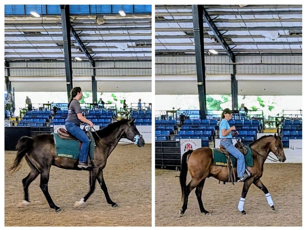 Kentucky Horse Park - wedding in Lexington, KY