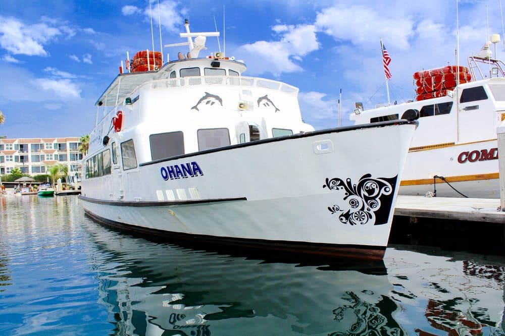 Cruise San Diego - wedding in San Diego, CA