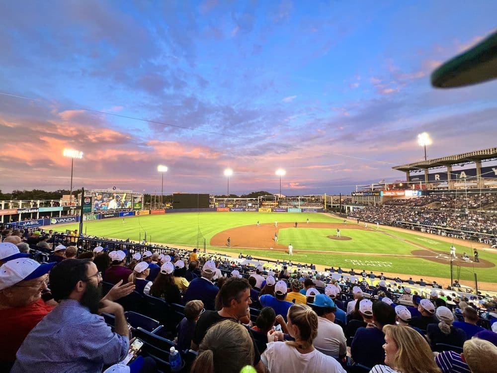 George Steinbrenner Field - wedding in Tampa, FL
