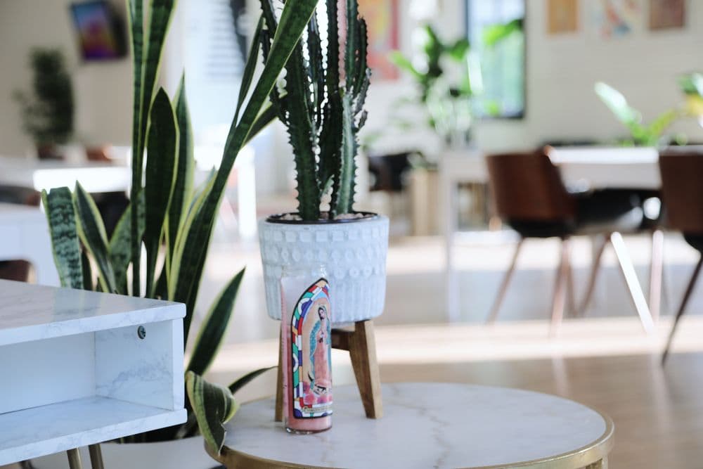 The Cathedral - wedding in Austin, TX