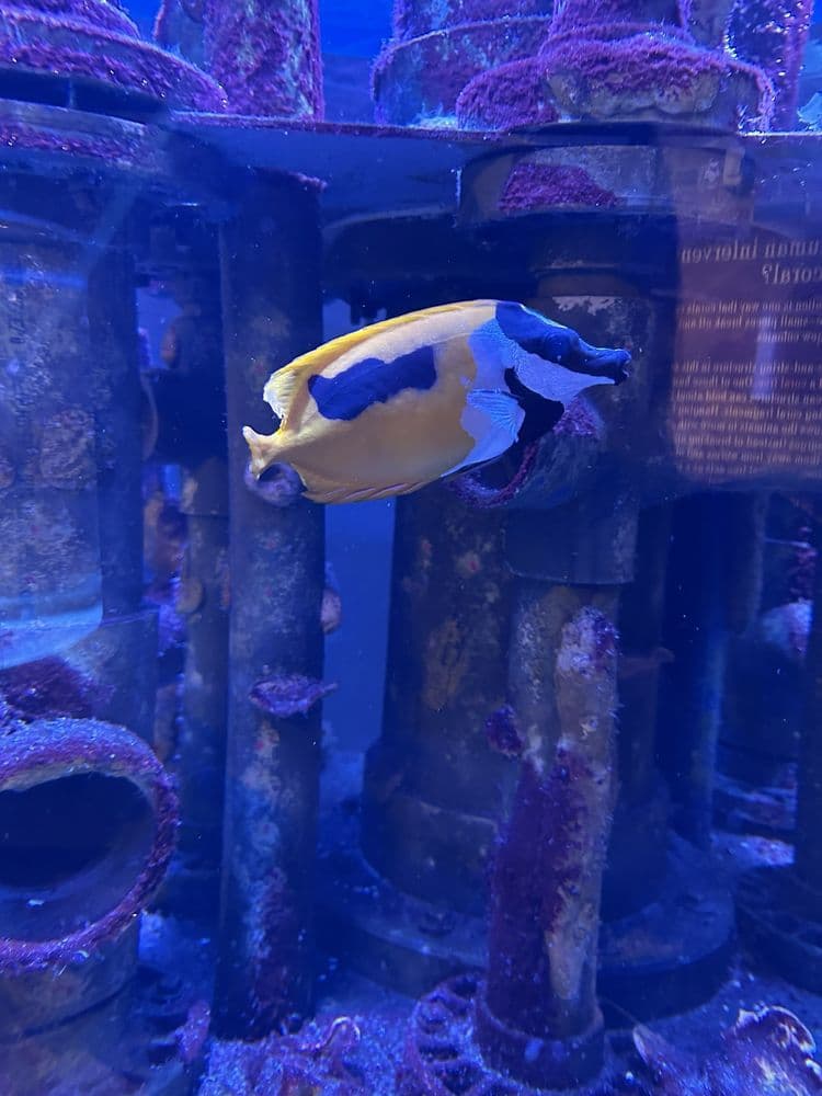 Windows On the River Banquet Facility - wedding in Cleveland, OH