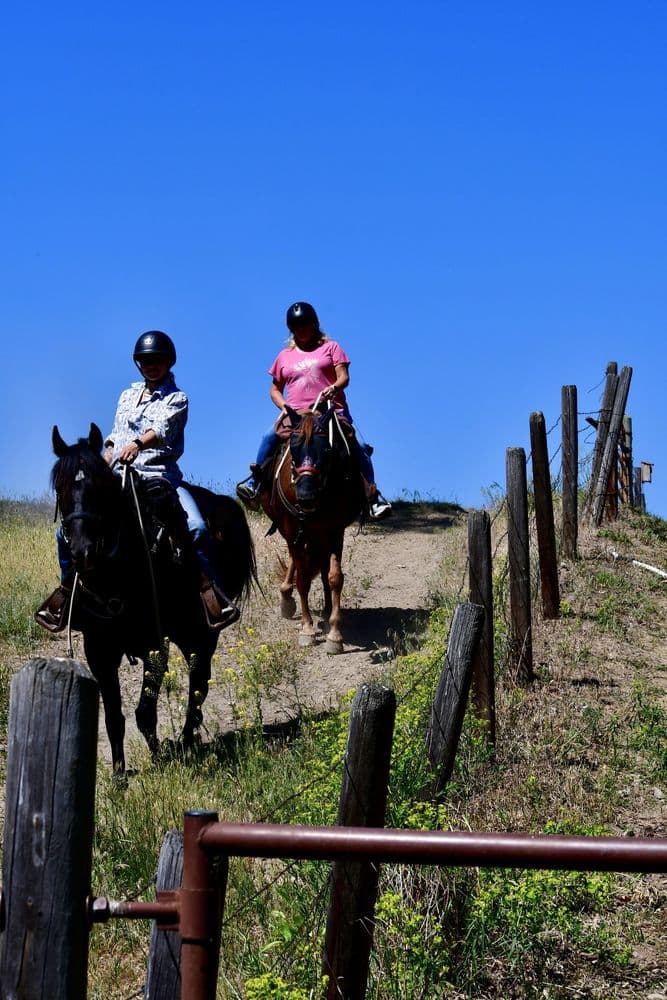 Dunrovin Ranch - wedding in Lolo, MT
