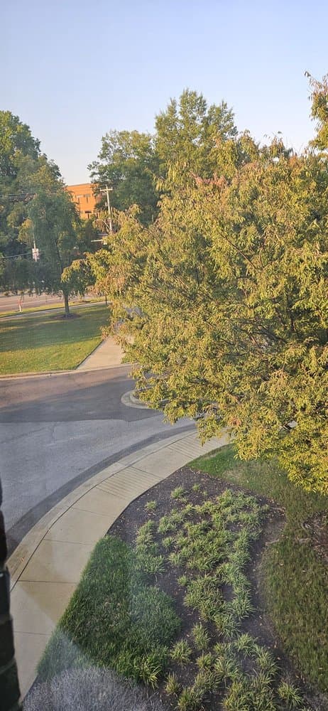 Holiday Inn Memphis-Univ Of Memphis - wedding in Memphis, TN