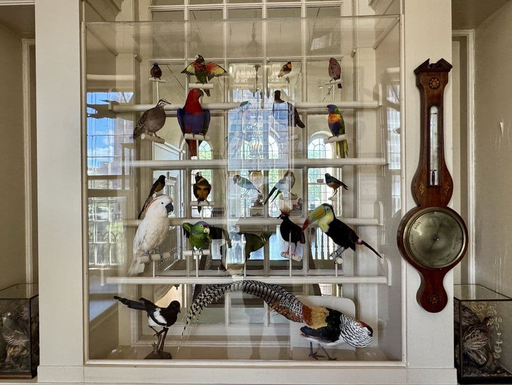 Connecticut's Old State House - wedding in Hartford, CT