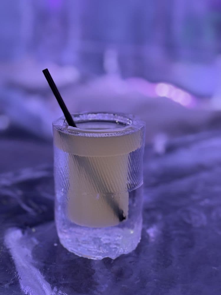 ICEBAR Orlando - wedding in Orlando, FL