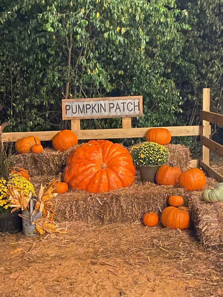 Steed's Dairy - wedding in Grovetown, GA