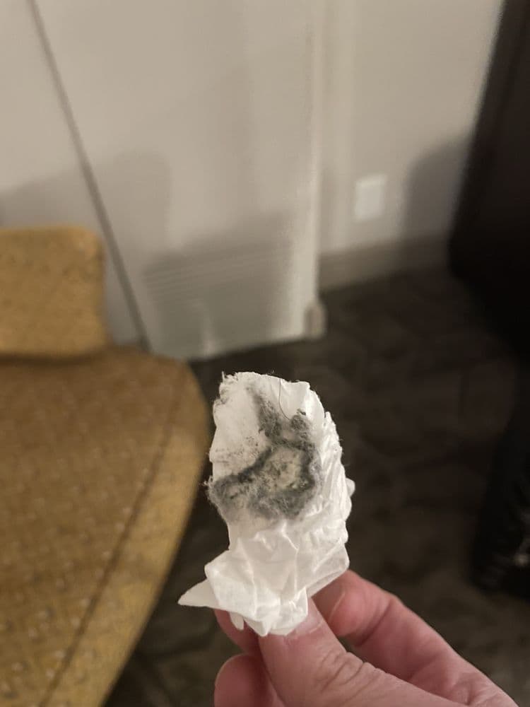 Hyatt Regency Coral Gables - wedding in Coral Gables, FL