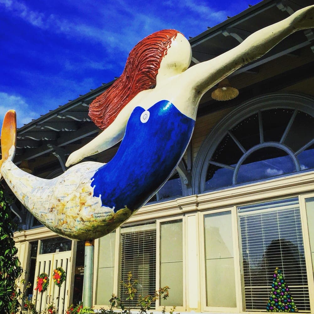 Fred Heutte Center - wedding in Norfolk, VA