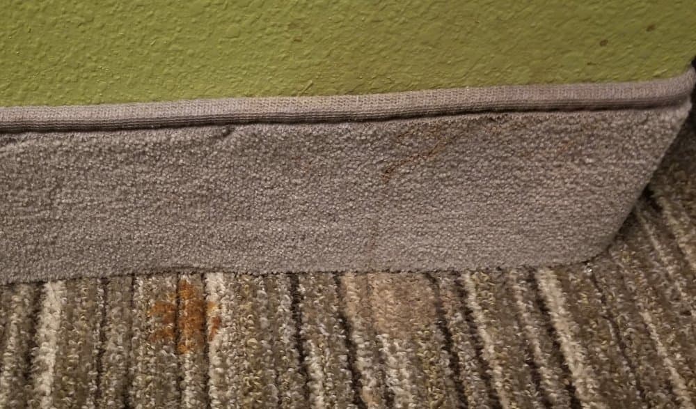 Holiday Inn Express & Suites Baton Rouge East - wedding in Baton Rouge, LA