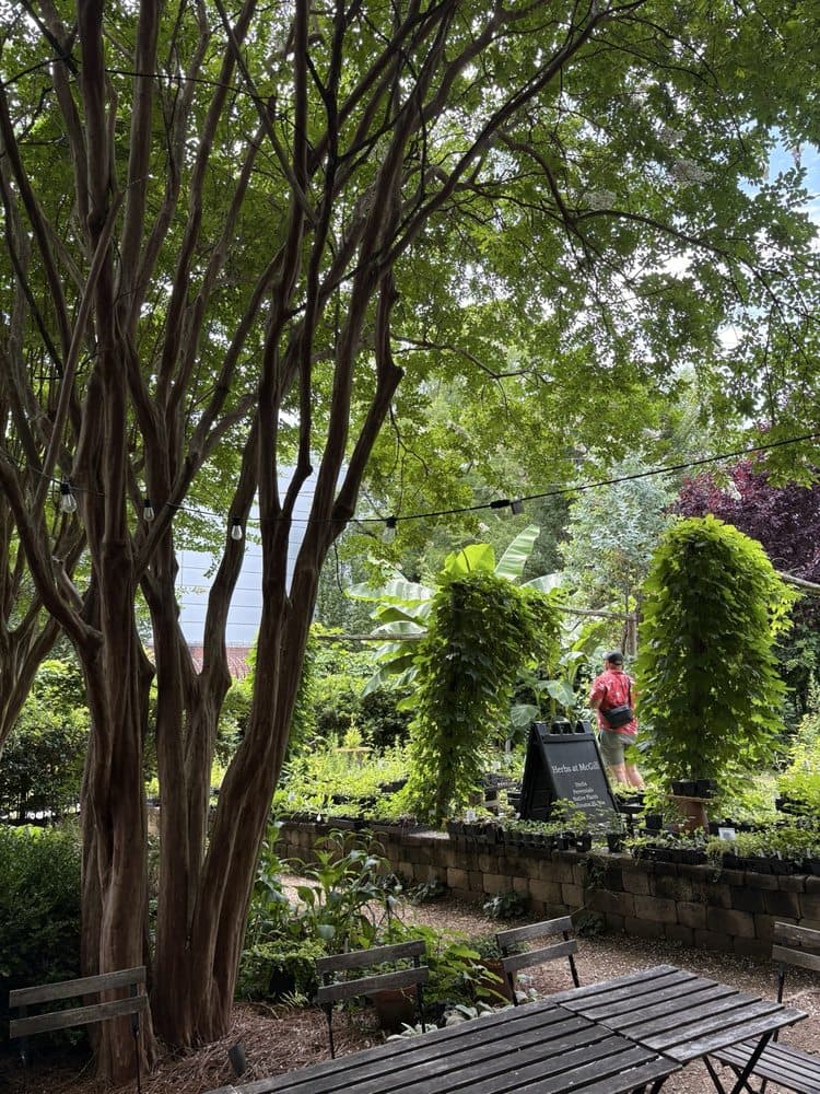 McGill Rose Garden - wedding in Charlotte, NC