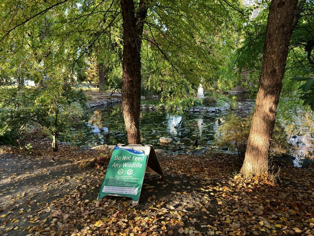 Wright Park - wedding in Tacoma, WA