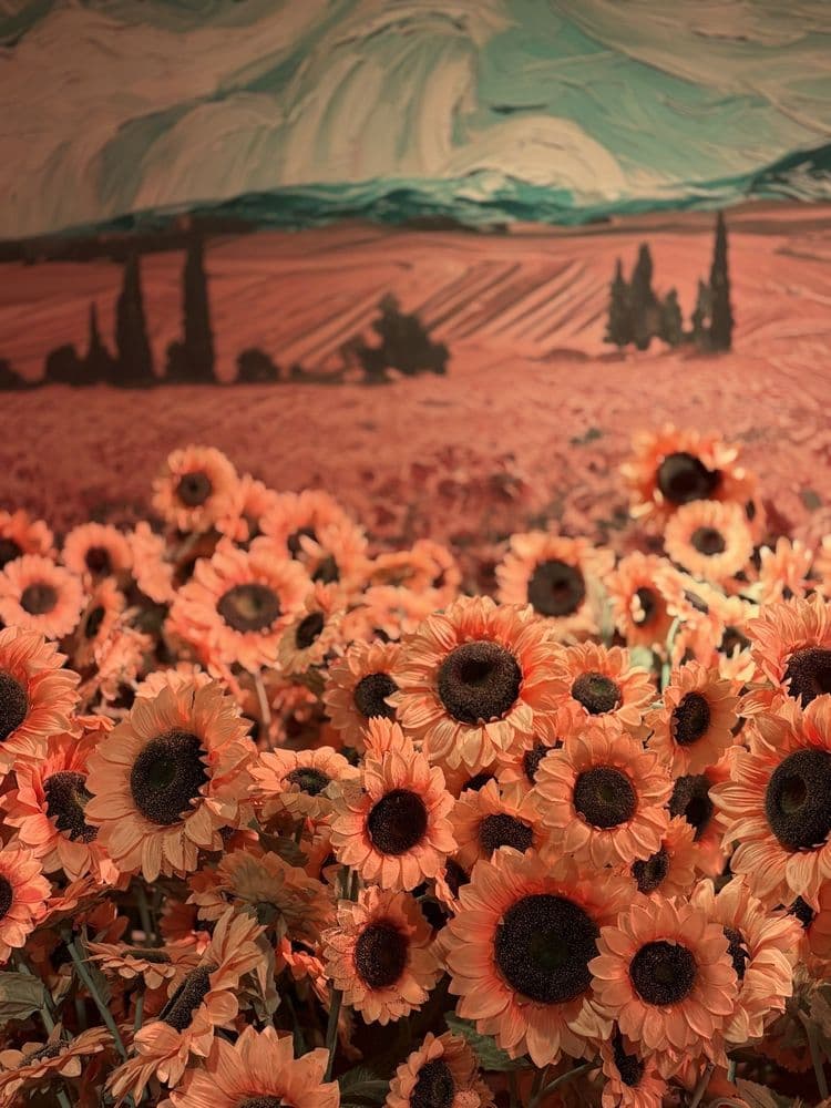 Van Gogh - wedding in Tampa, FL