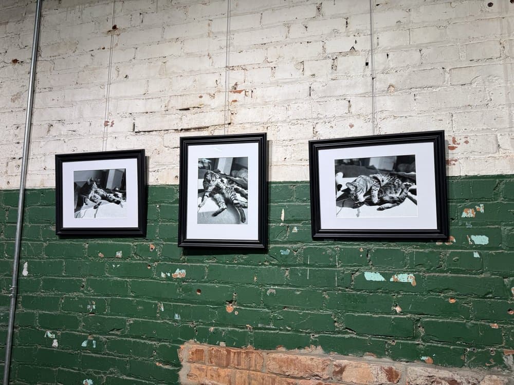 Lowe Mill ARTS & Entertainment - wedding in Huntsville, AL