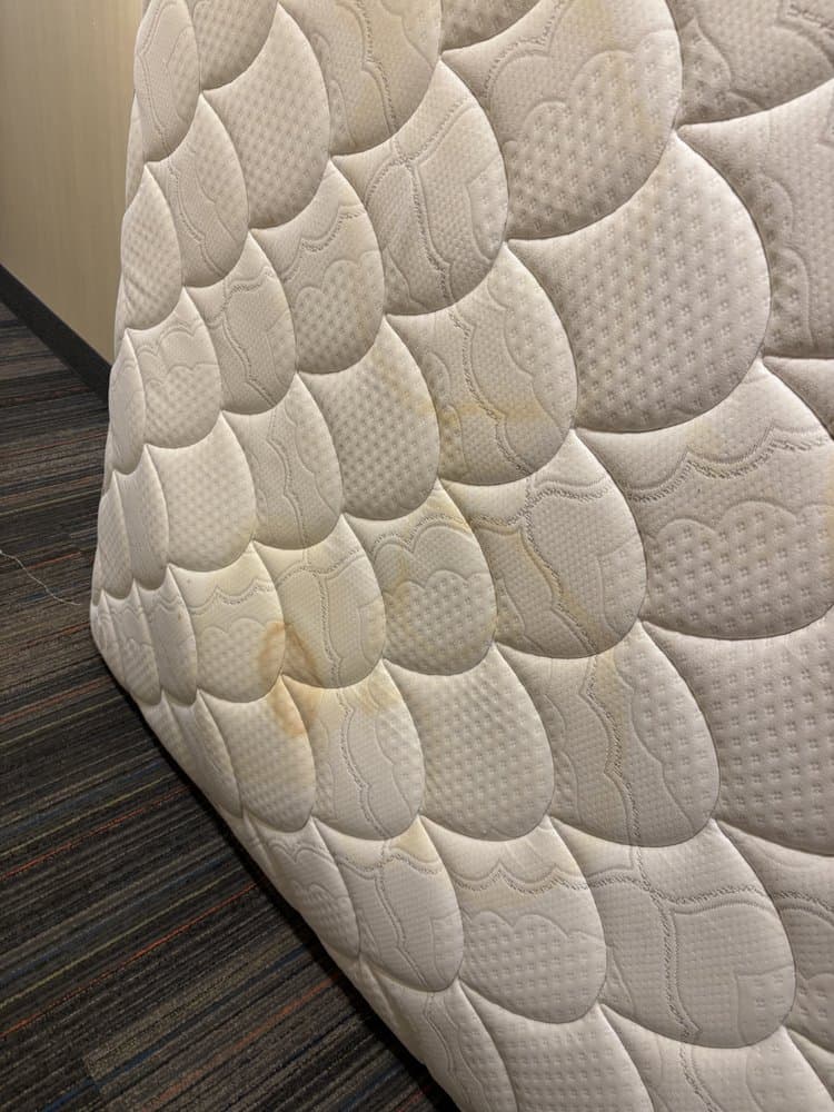 Holiday Inn Express Cheektowaga North East - wedding in Cheektowaga, NY