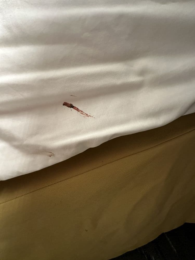 Holiday Inn Express & Suites Little Rock-West - wedding in Little Rock, AR