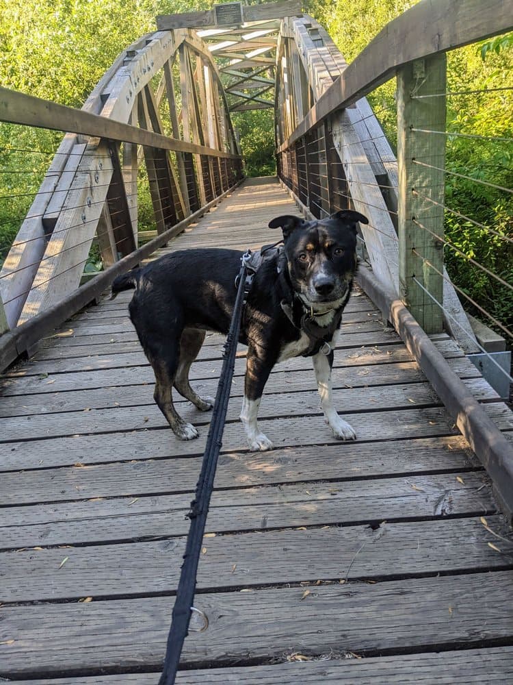 Mount Pisgah Arboretum - wedding in Eugene, OR