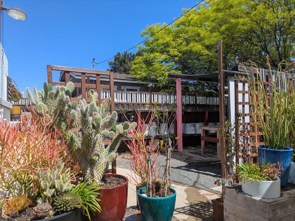 North Park Nursery - wedding in San Diego, CA