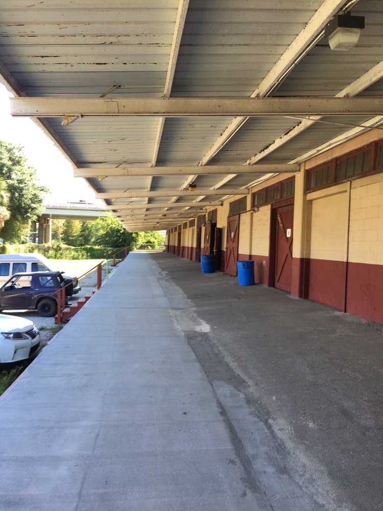 Wonderland - wedding in Jacksonville, FL