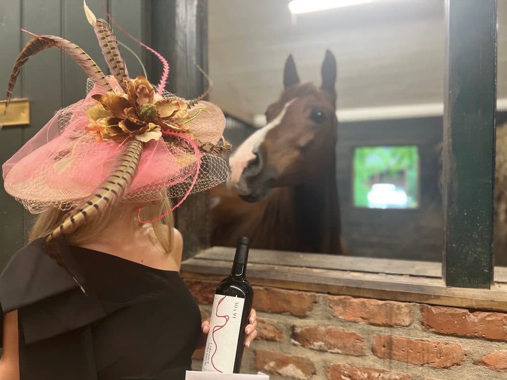 Live Oak Arabians - wedding in Baton Rouge, LA