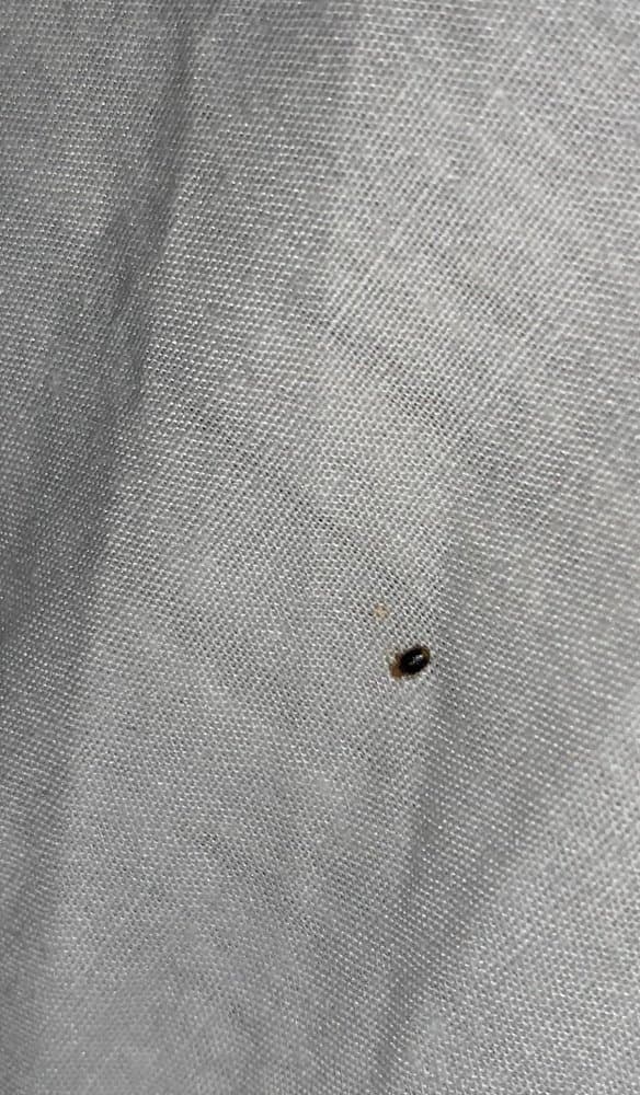 Candlewood Suites Fayetteville-Univ of Arkansas - wedding in Fayetteville, AR