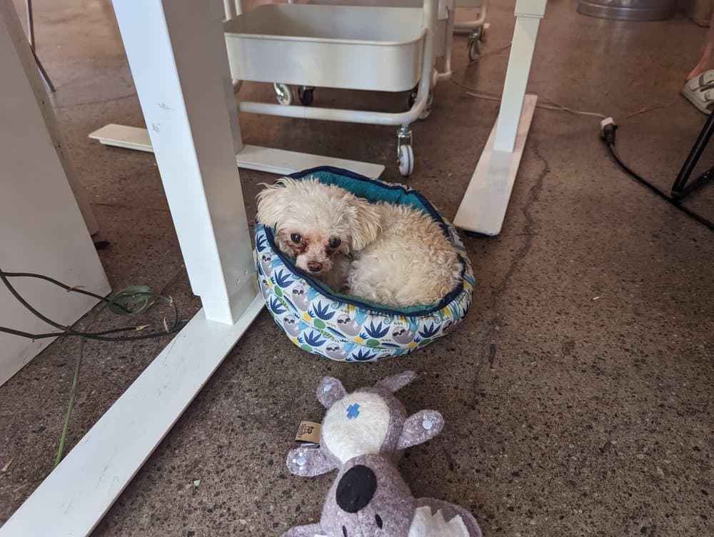 Makers Mess - wedding in Los Angeles, CA