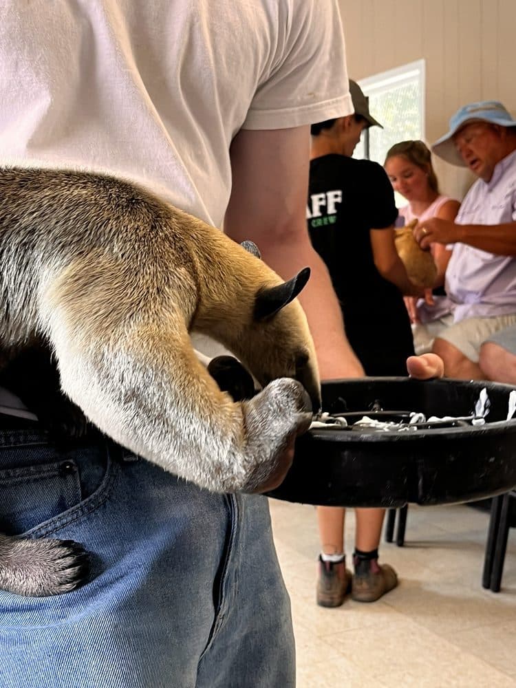 Darby Acres Farm - wedding in Charlotte, NC