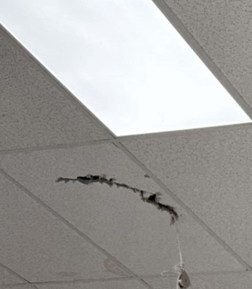 Fairytale Event Venue - wedding in Albuquerque, NM