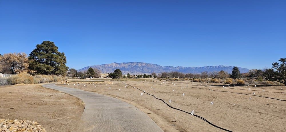 Paradise Hills Golf Course - wedding in Albuquerque, NM