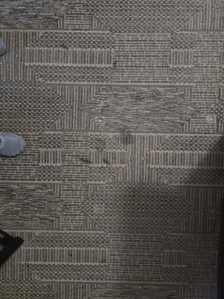 Staybridge Suites Augusta - wedding in Augusta, GA