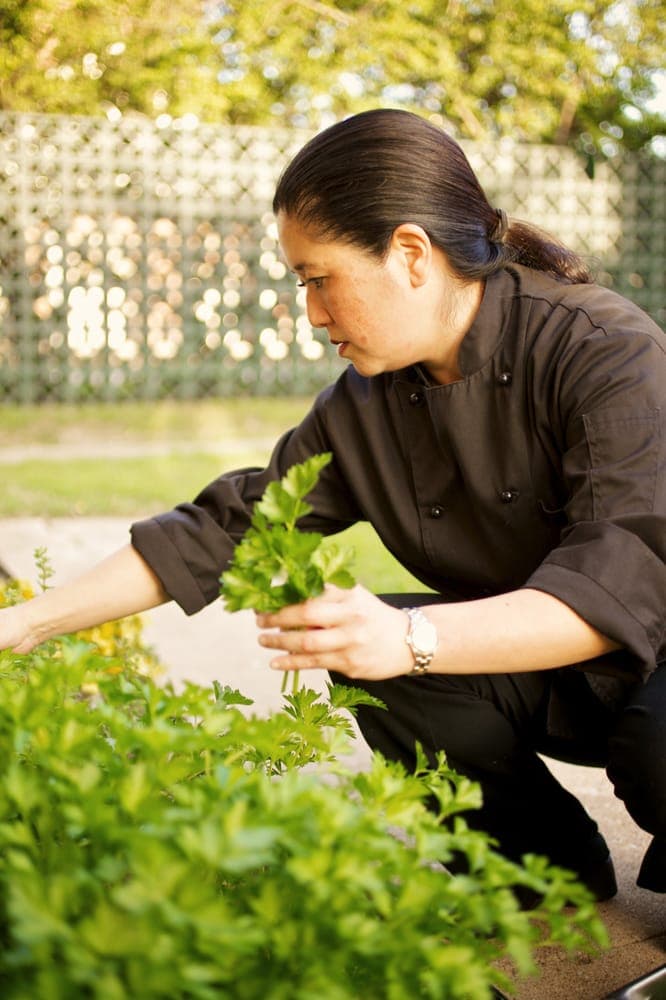 Bastion - wedding in Fort Worth, TX