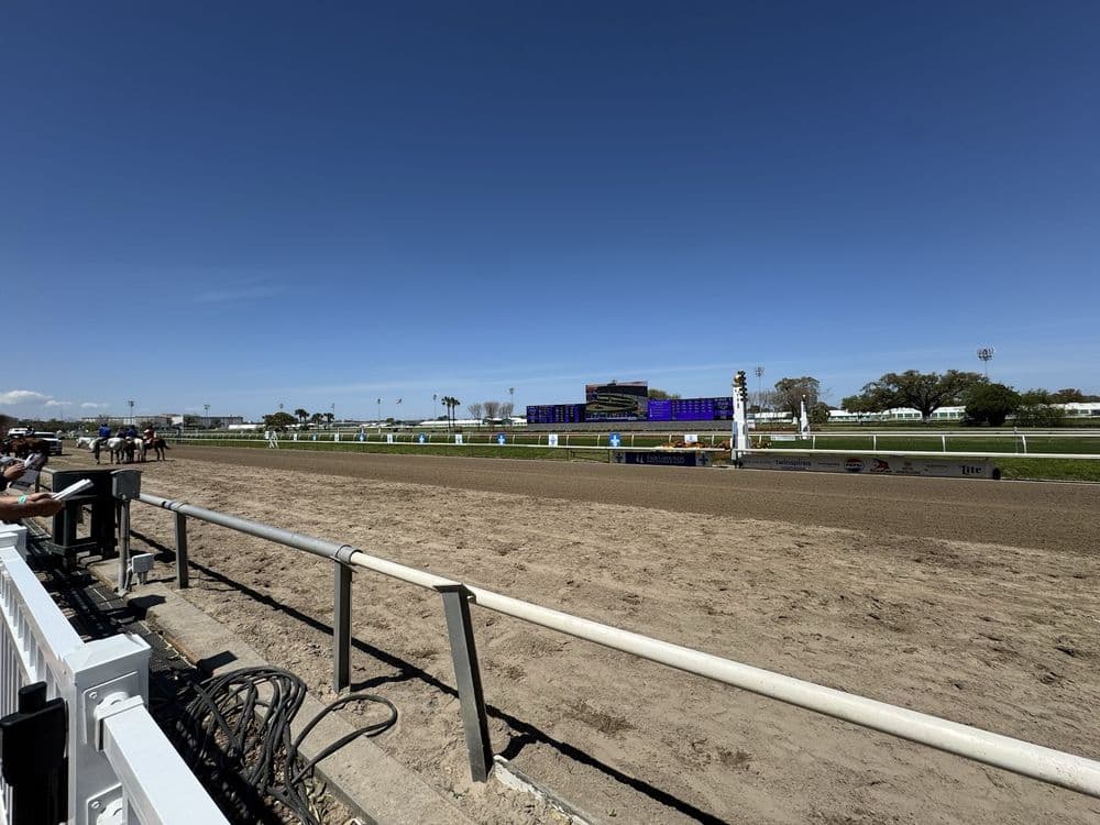 Fair Grounds Race Course & Slots - wedding in New Orleans, LA