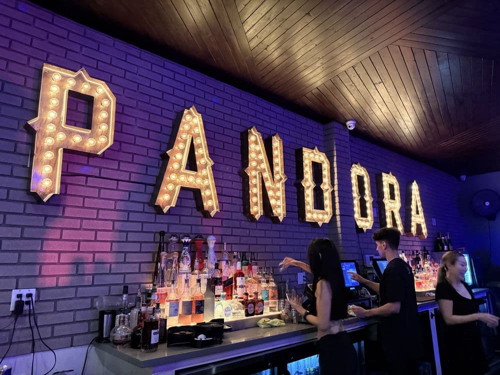 Pandora Karaoke - wedding in San Francisco, CA