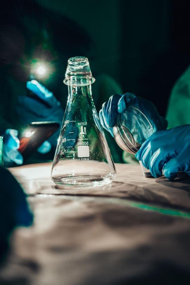 The Drunken Laboratory - wedding in Brooklyn, NY