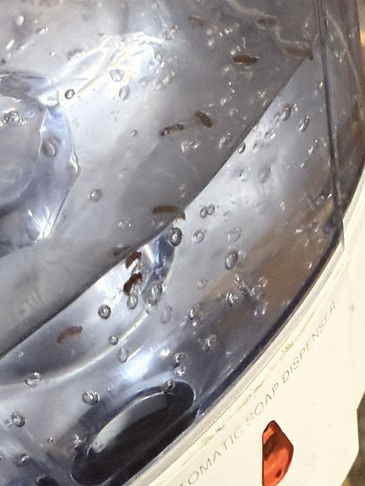 Legacy Academy - wedding in Fitchburg, WI