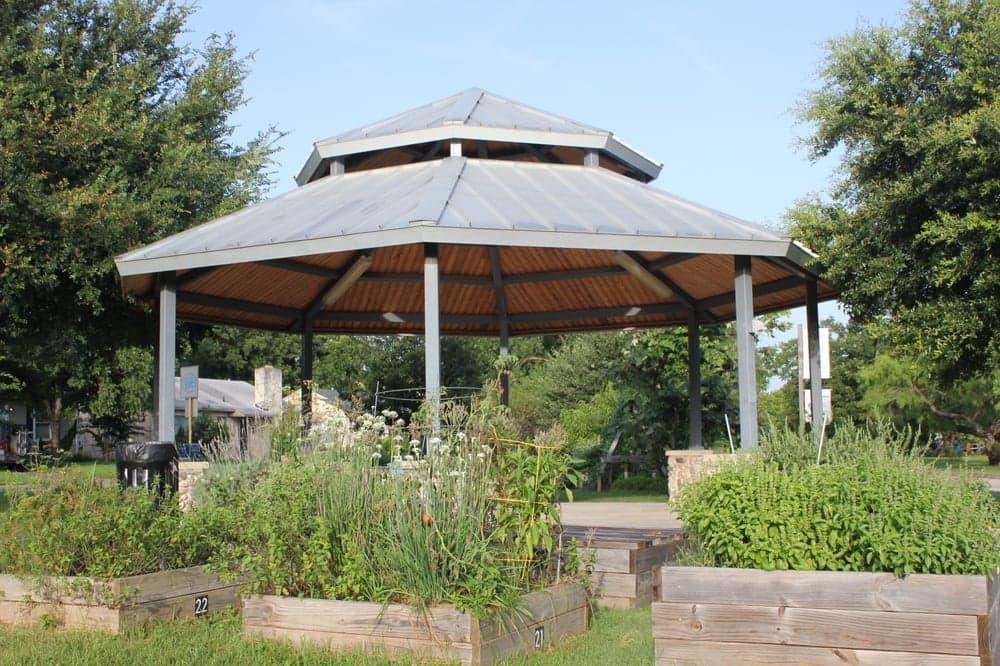 Olmos Park Terrace - wedding in San Antonio, TX