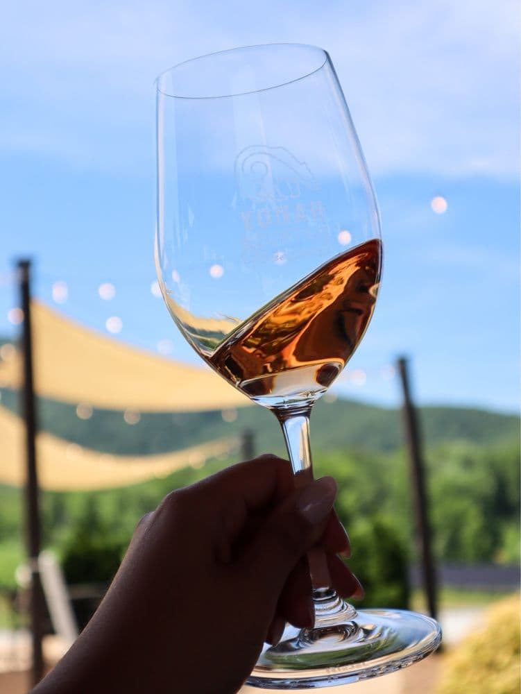 Yonah Mountain Vineyards - wedding in Cleveland, GA