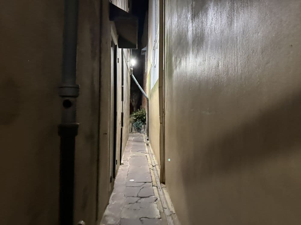 The Haunted Hotel - wedding in New Orleans, LA