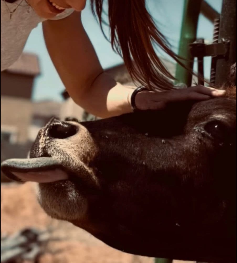Superstition Farm - wedding in Mesa, AZ