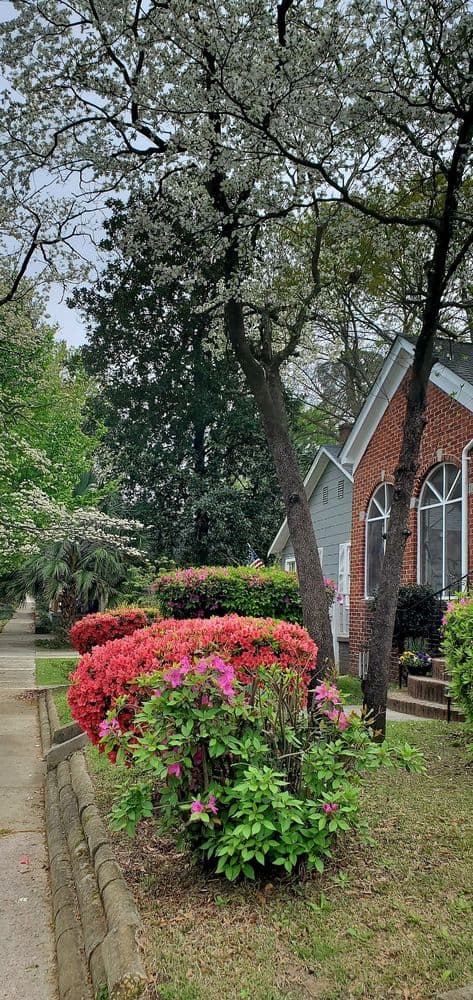 NoMa Warehouse - wedding in Columbia, SC