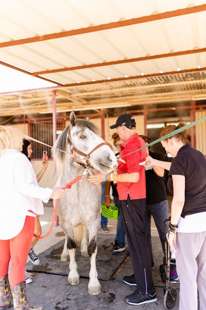 Hunkapi Programs - wedding in Scottsdale, AZ